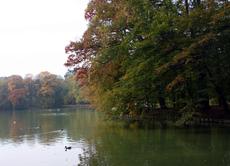Herbststimmung-23-10-09 014.jpg